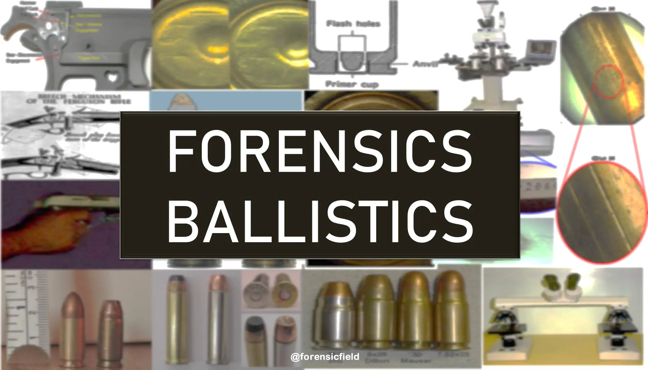 The History of Forensic Ballistics – Ballistic Fingerprinting