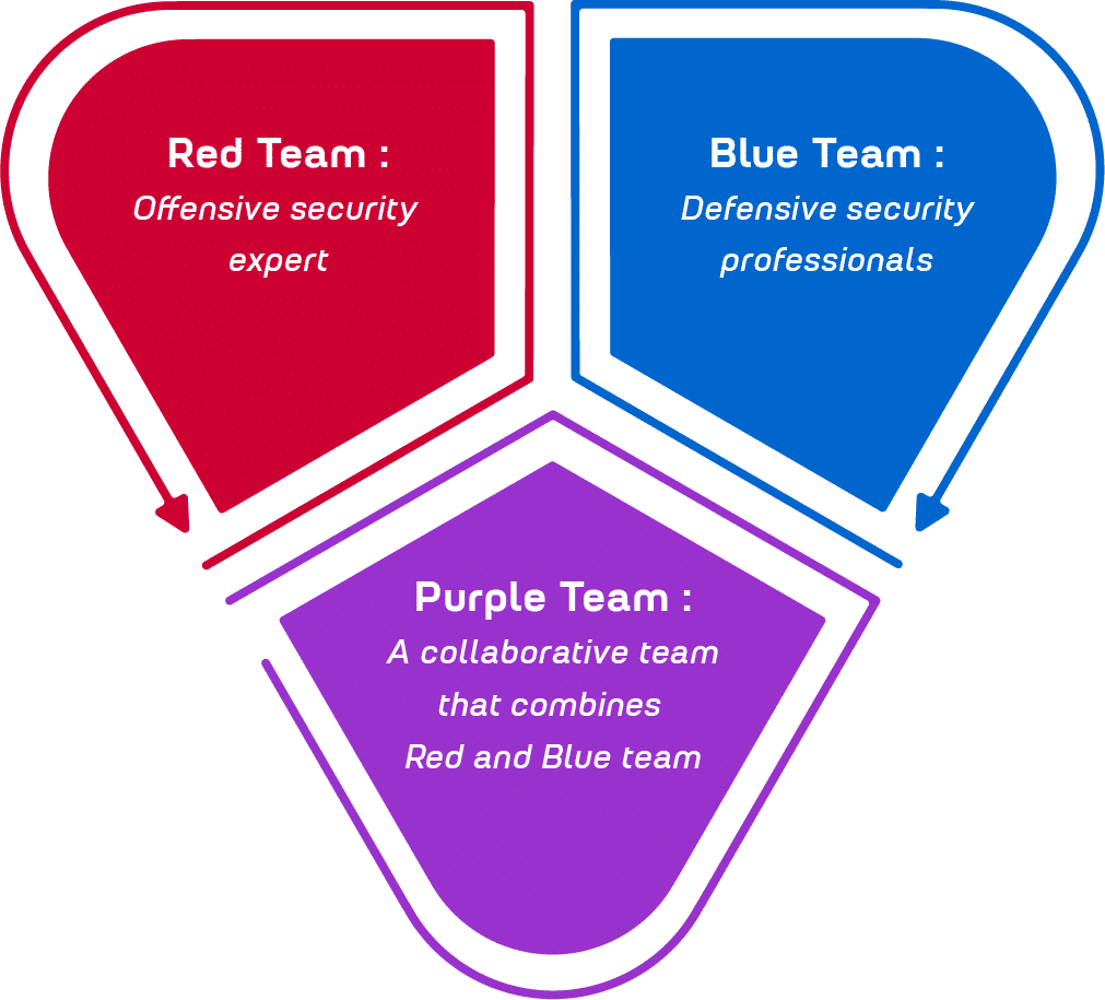 Texial Cyber Security Teams – Red Team, Blue Team, and Purple Team Training